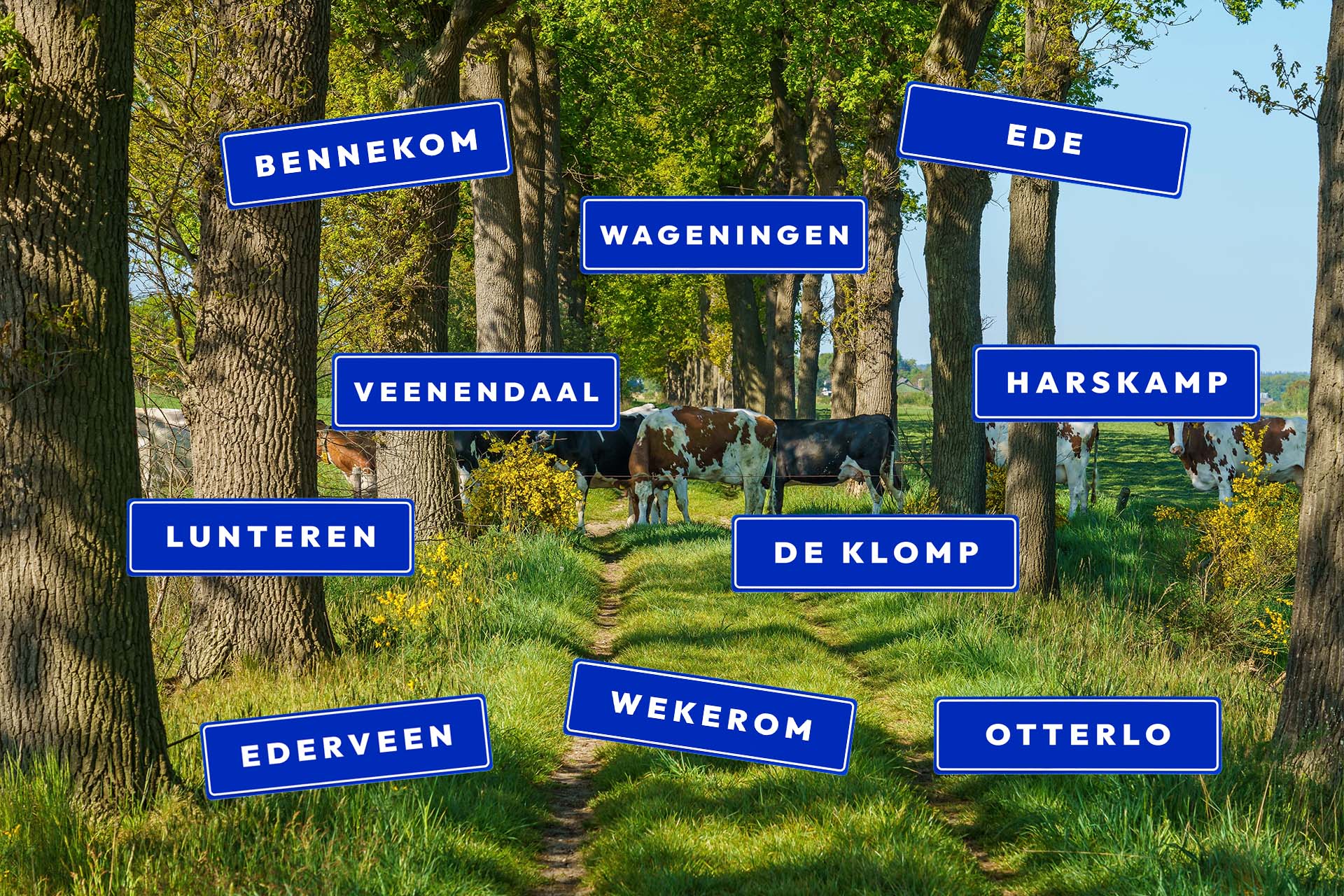 verzorgingsgebied RD Elektriciens Ede